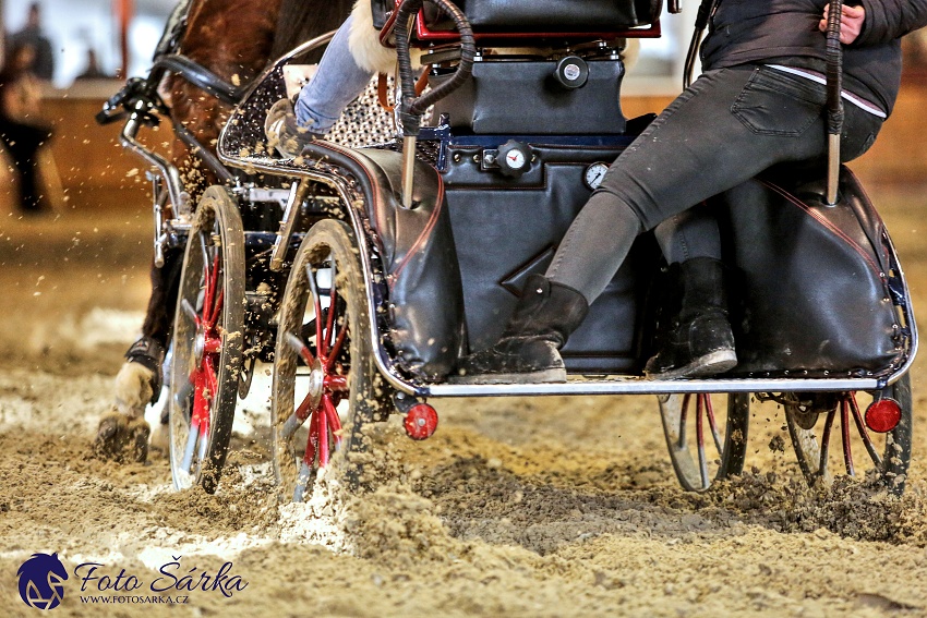 Brno 2019 - spřežení