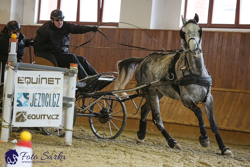 Brno 2019 - spřežení