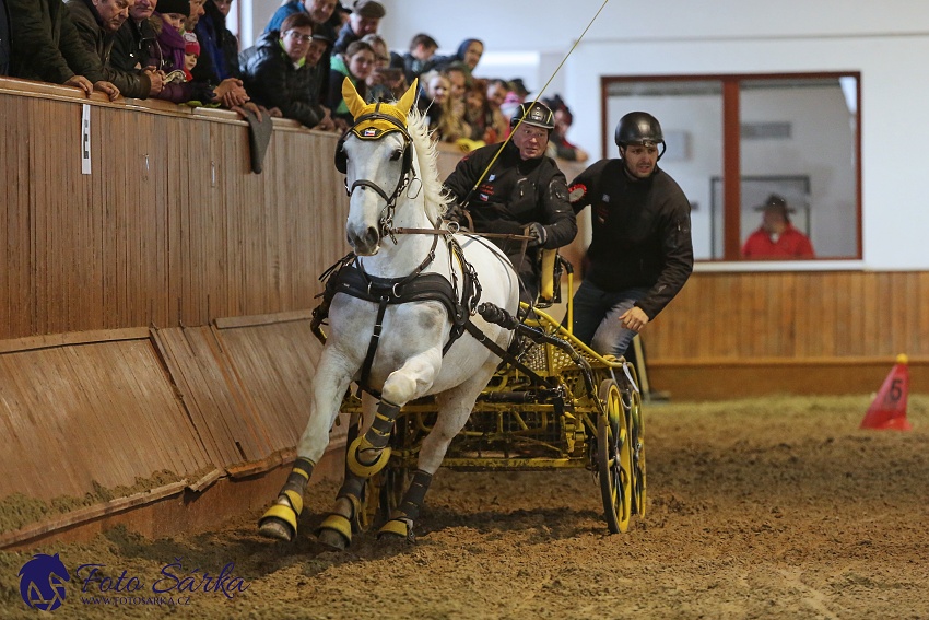 Brno 2019 - spřežení