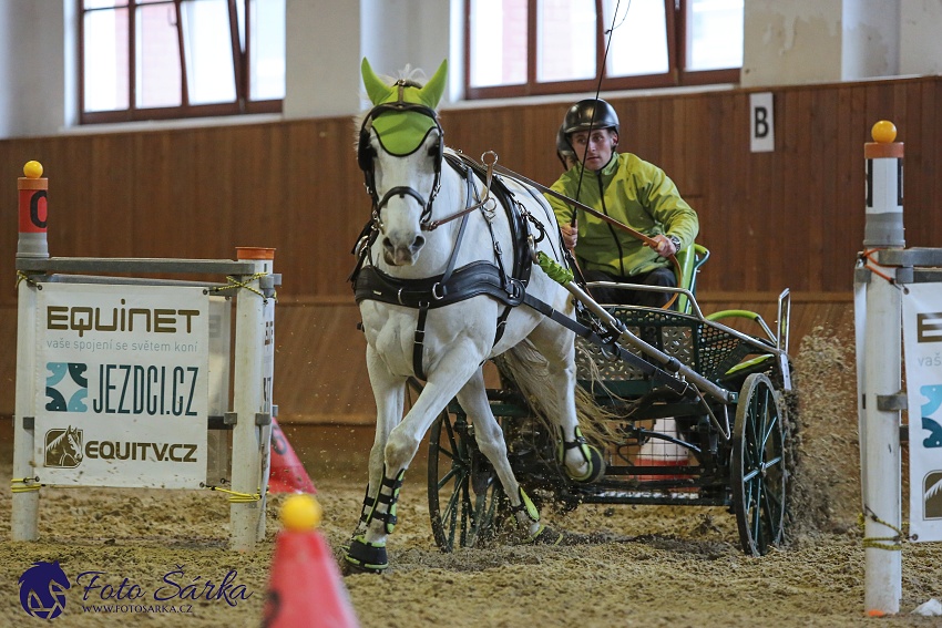 Brno 2019 - spřežení