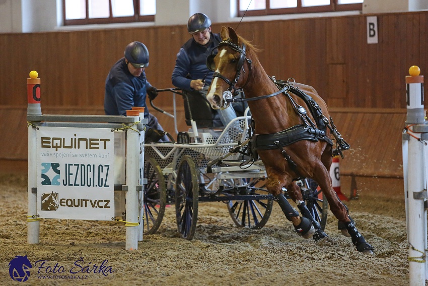 Brno 2019 - spřežení