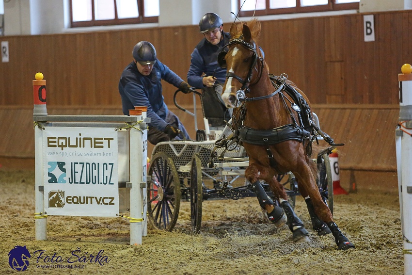 Brno 2019 - spřežení