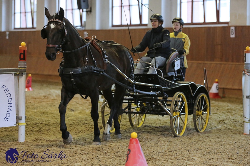 Brno 2019 - spřežení