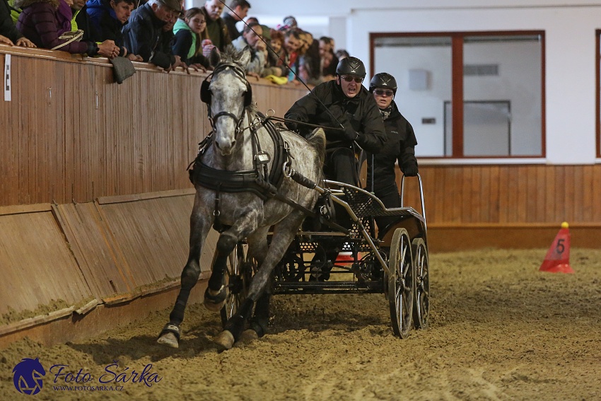 Brno 2019 - spřežení