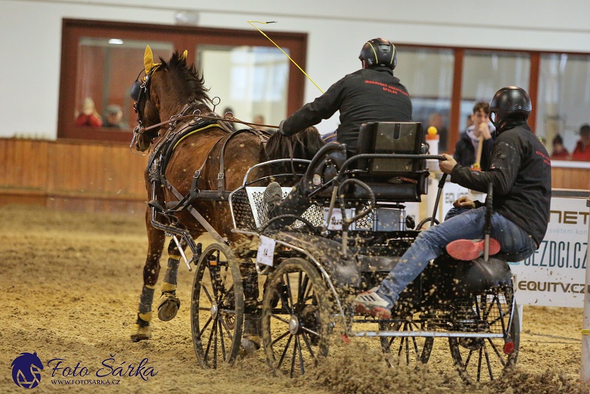 Brno 2019 - spřežení