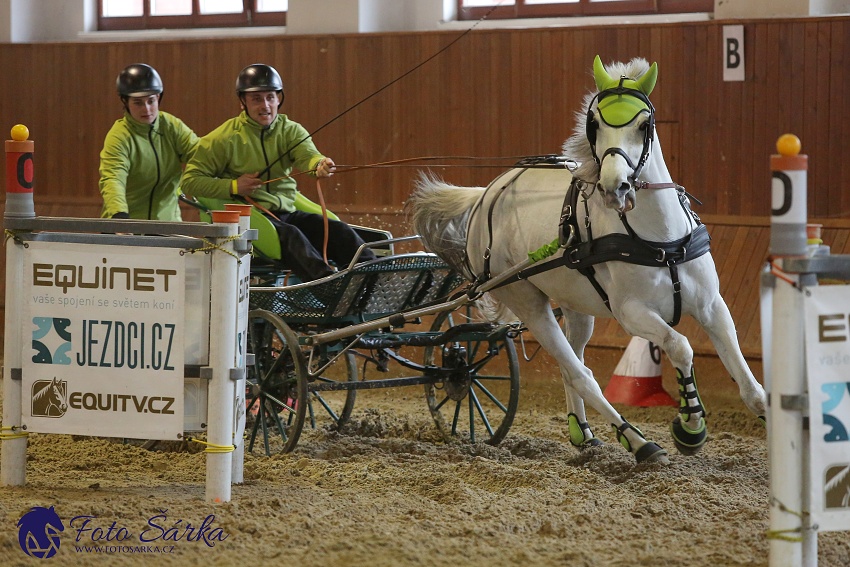 Brno 2019 - spřežení