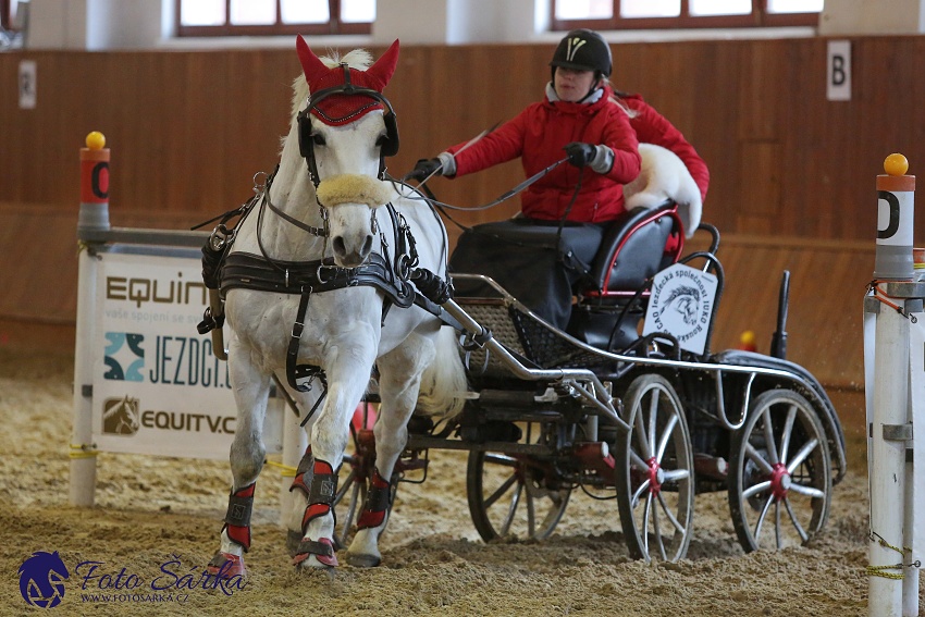 Brno 2019 - spřežení