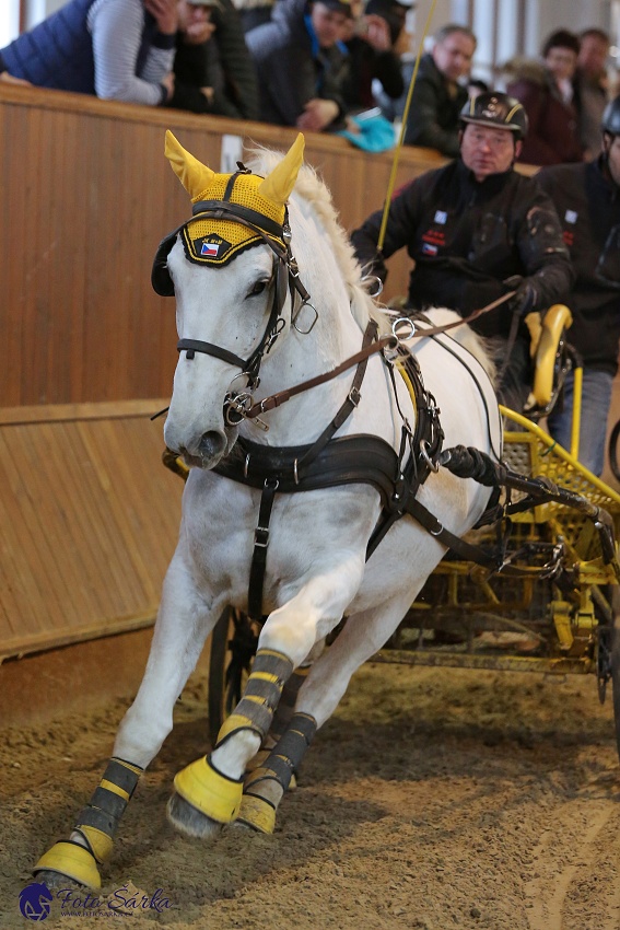 Brno 2019 - spřežení