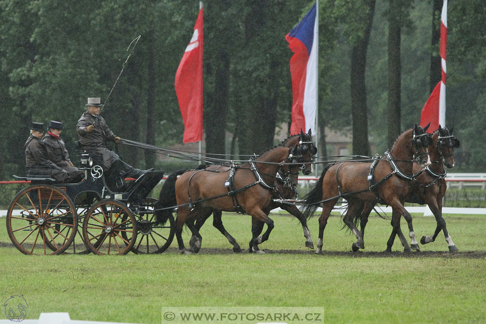 CAI - Drebkau 2016