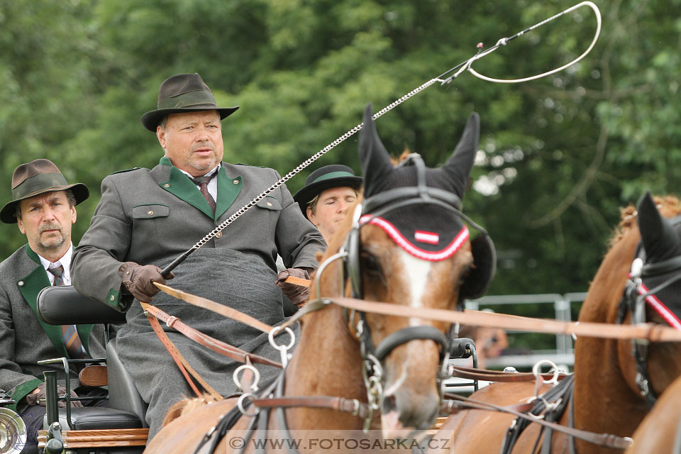CAIO - Nebanice 2016
