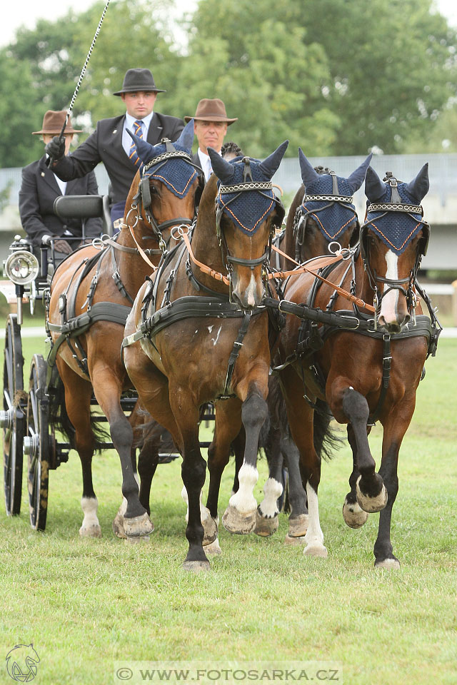 CAIO - Nebanice 2016