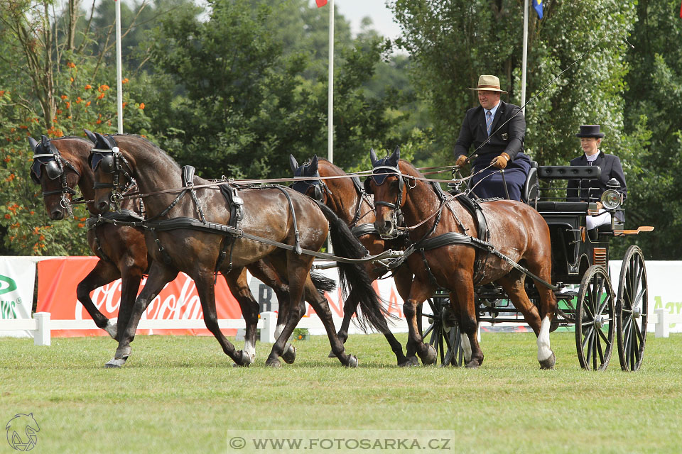 CAIO - Nebanice 2016