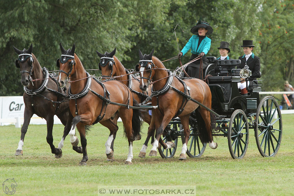 CAIO - Nebanice 2016