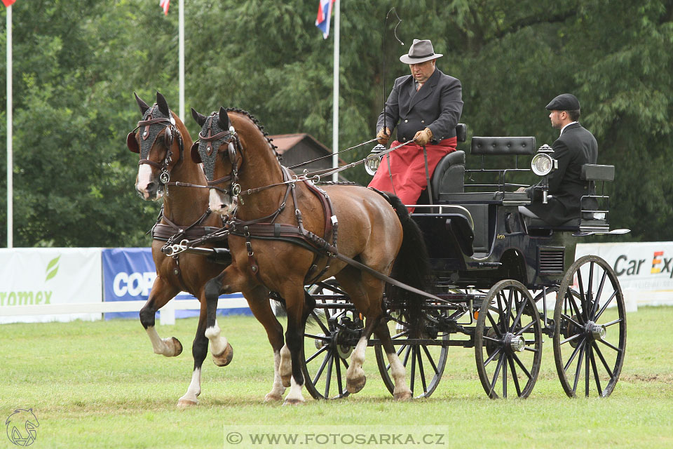 CAIO - Nebanice 2016