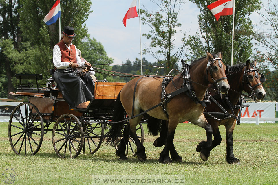 CAIO - Nebanice 2016