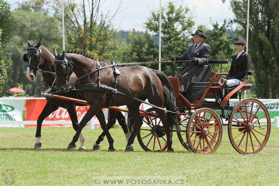 CAIO - Nebanice 2016