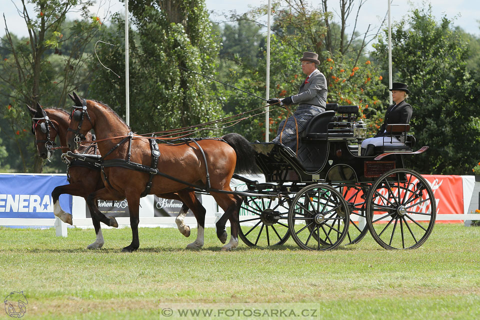 CAIO - Nebanice 2016