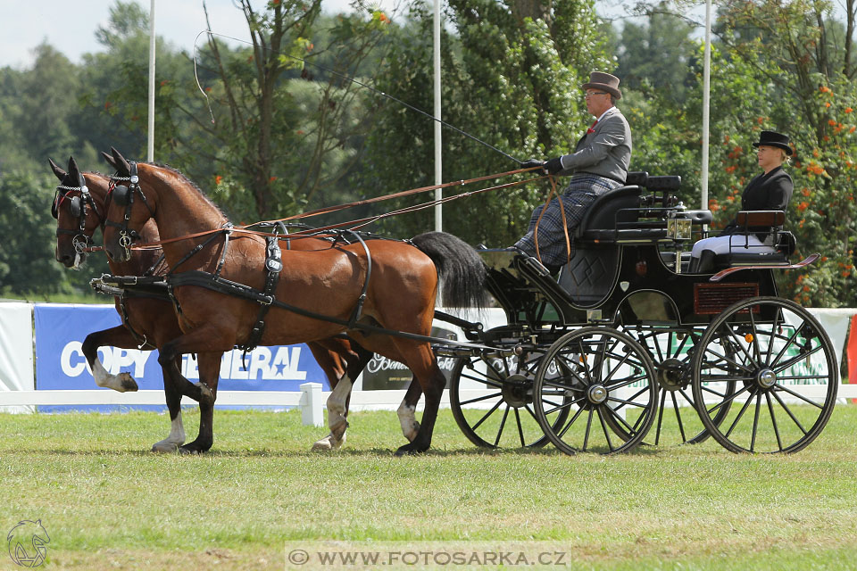 CAIO - Nebanice 2016