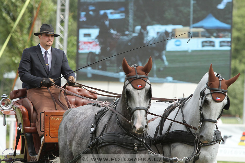 CAIO - Nebanice 2016