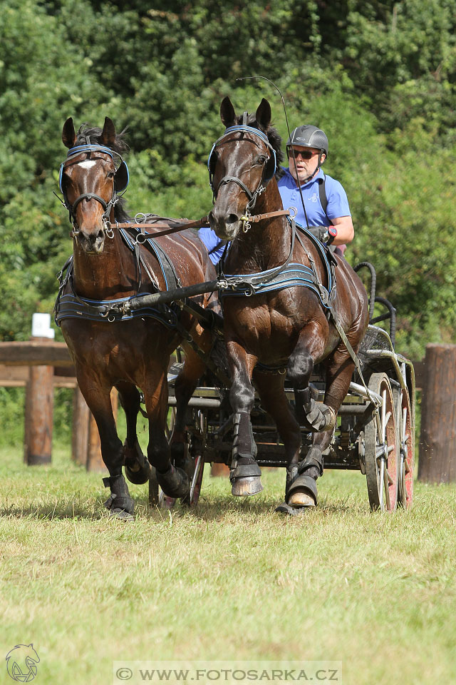 CAIO - Nebanice 2016