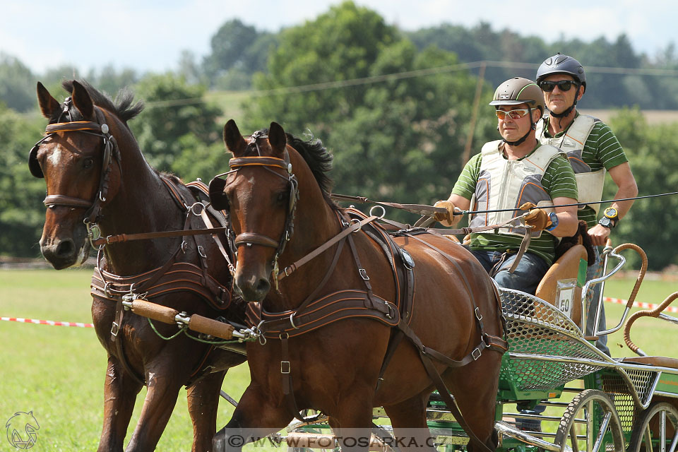 CAIO - Nebanice 2016