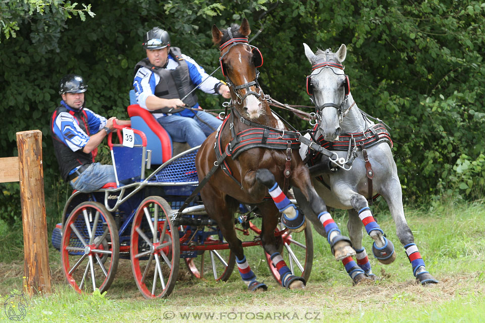 CAIO - Nebanice 2016