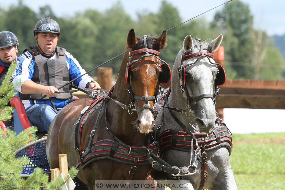 CAIO - Nebanice 2016