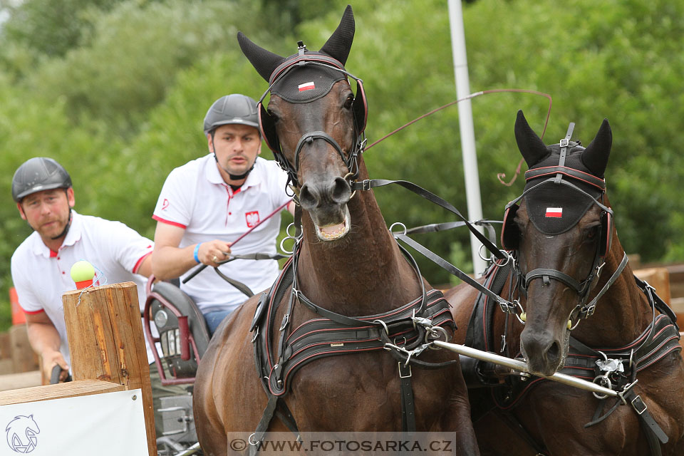 CAIO - Nebanice 2016
