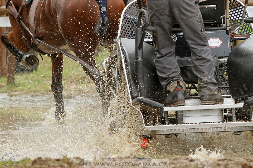 CAIO - Nebanice 2016