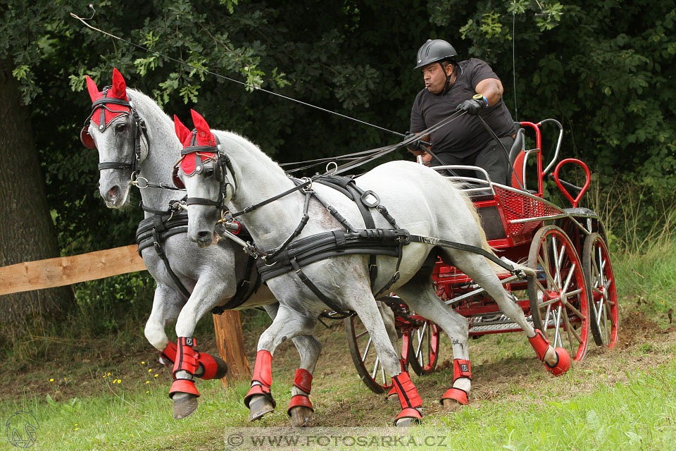 CAIO - Nebanice 2016