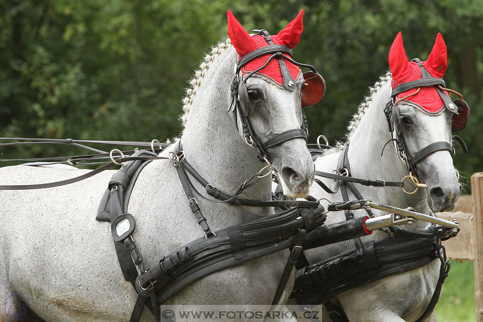 CAIO - Nebanice 2016