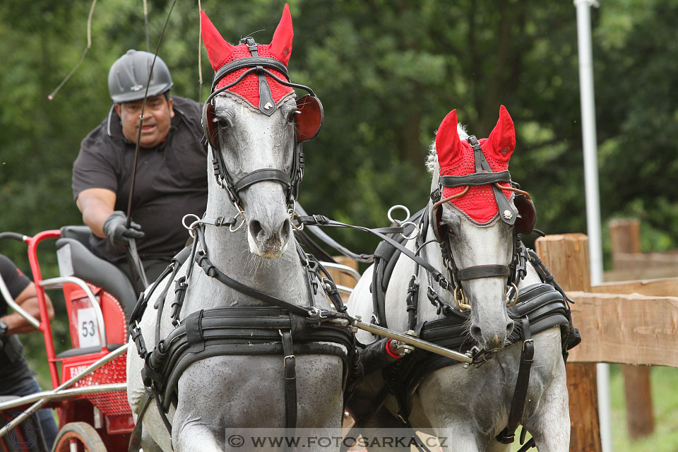 CAIO - Nebanice 2016