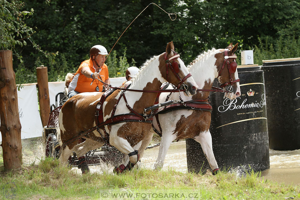 CAIO - Nebanice 2016