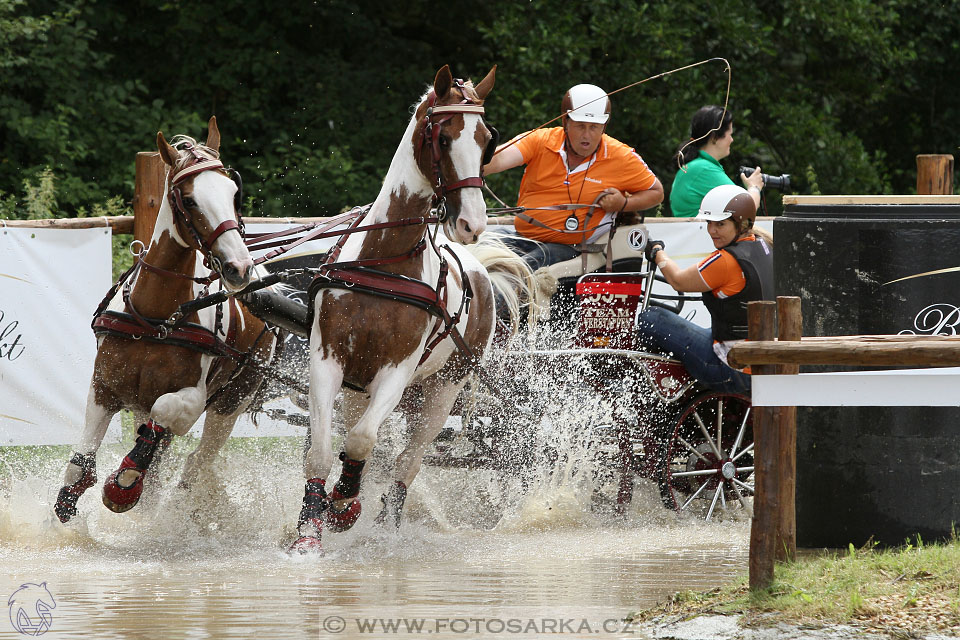 CAIO - Nebanice 2016