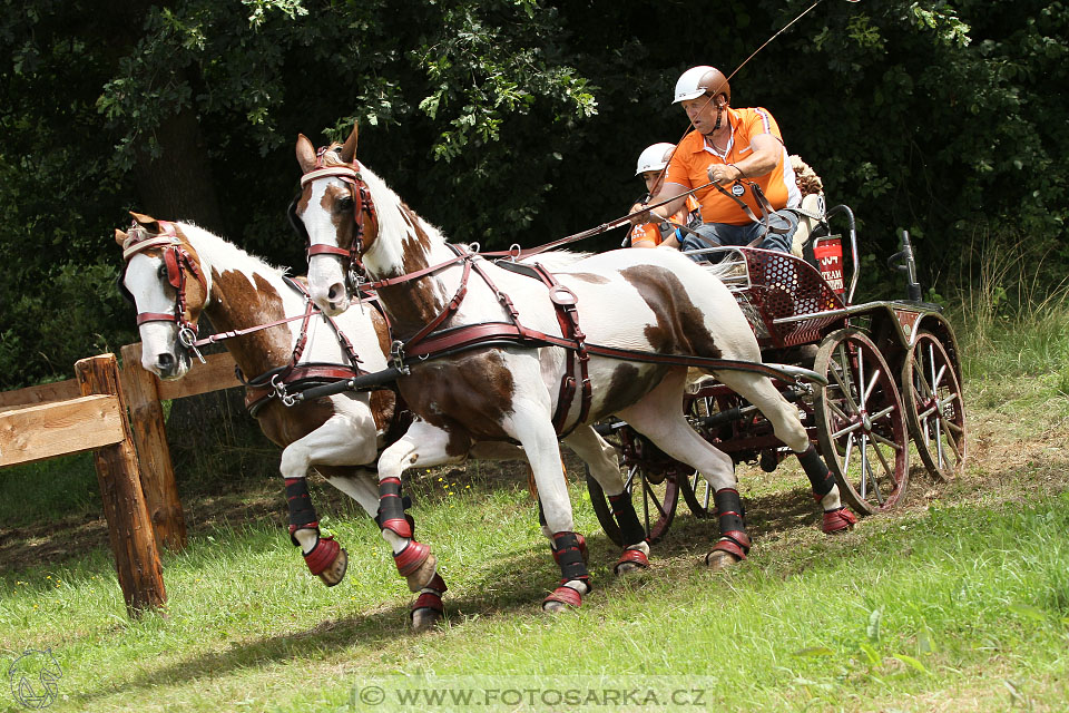 CAIO - Nebanice 2016