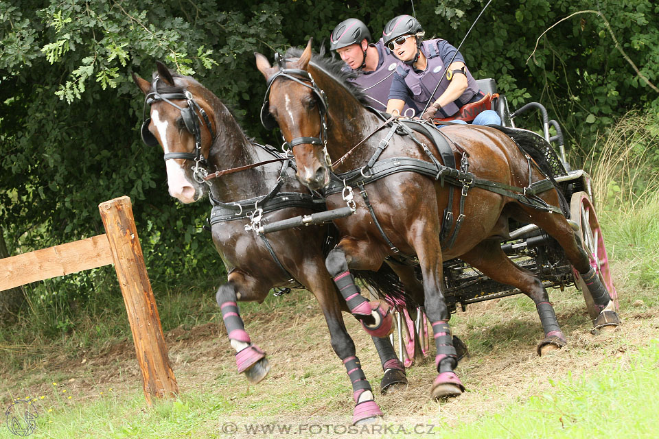 CAIO - Nebanice 2016