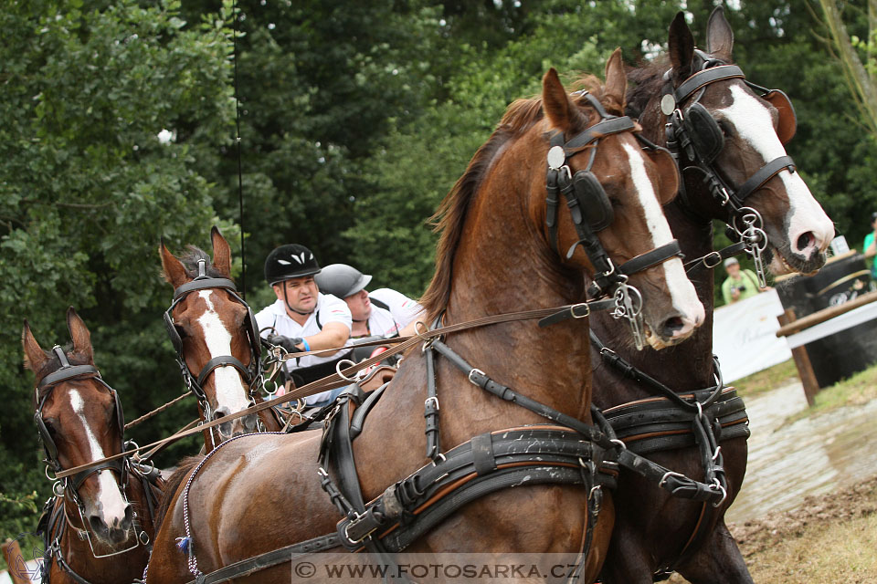 CAIO - Nebanice 2016