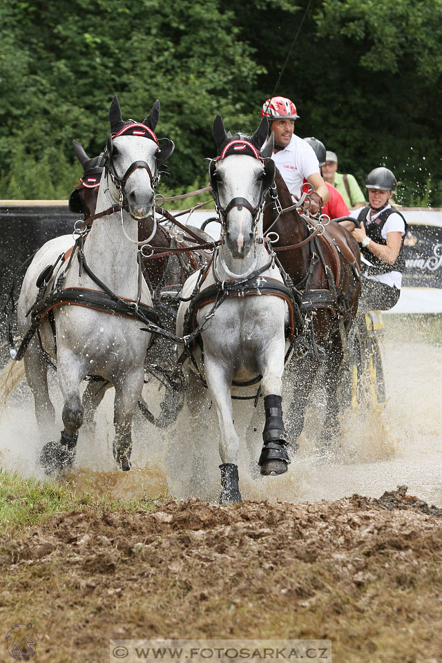CAIO - Nebanice 2016
