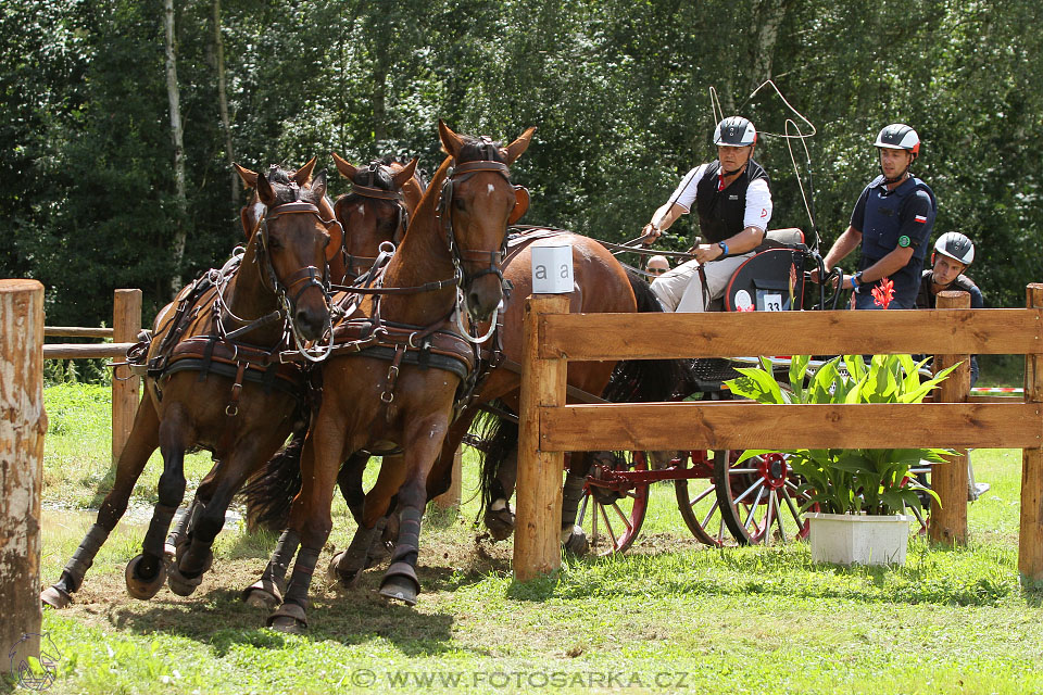 CAIO - Nebanice 2016