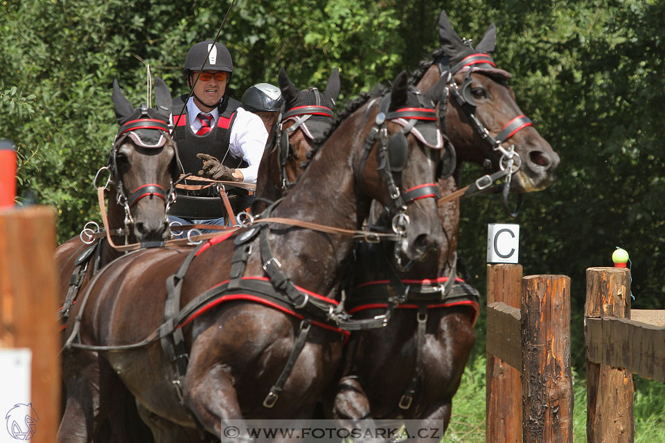 CAIO - Nebanice 2016