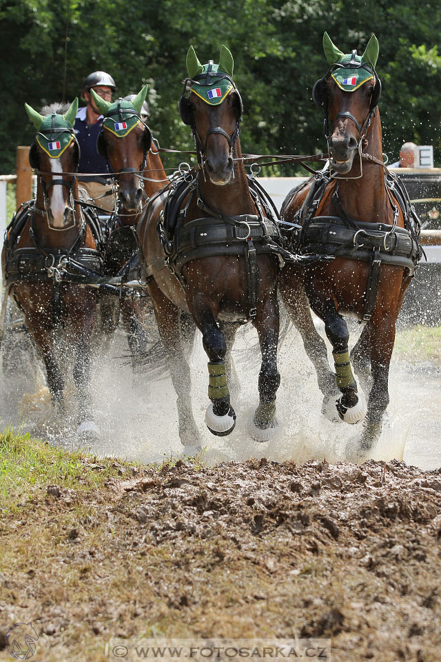 CAIO - Nebanice 2016