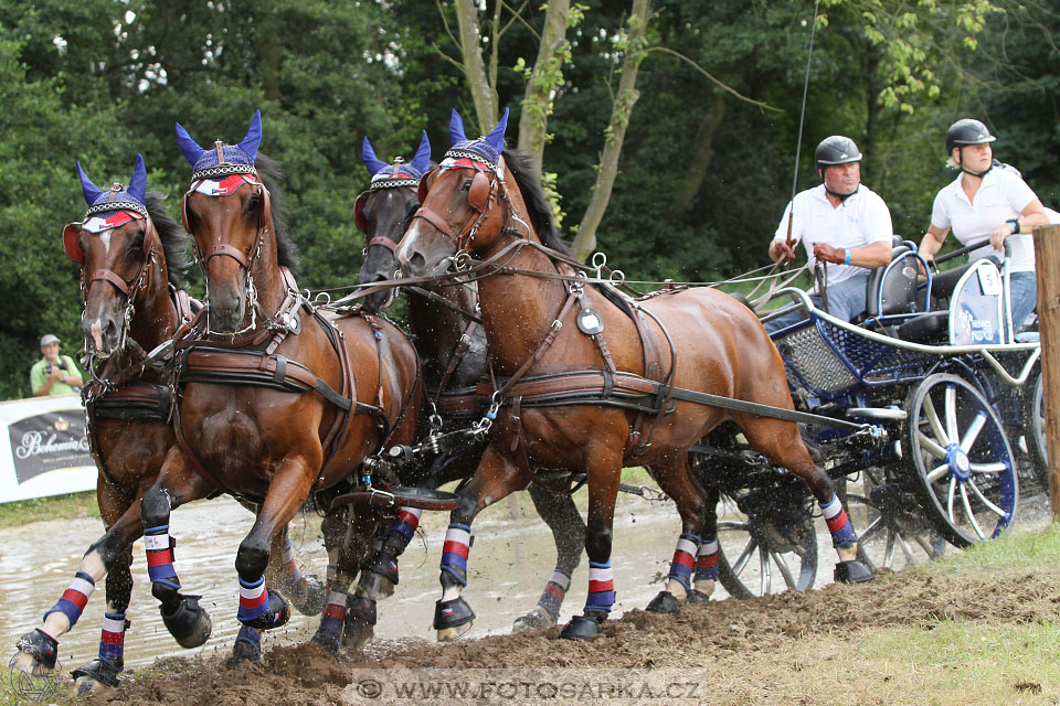 CAIO - Nebanice 2016