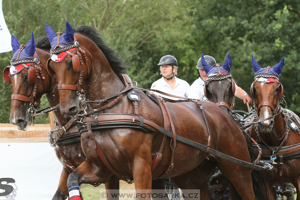 CAIO - Nebanice 2016