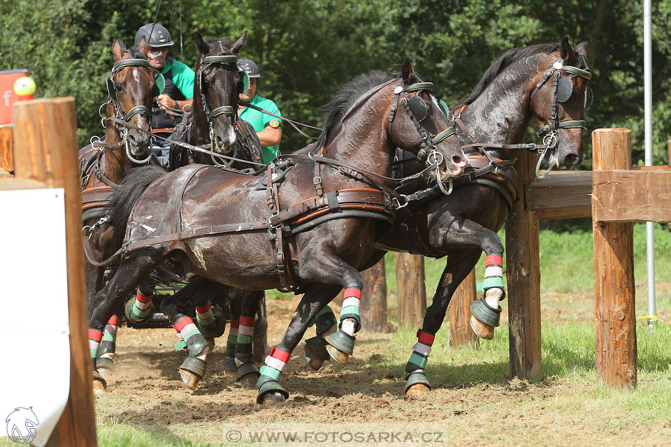CAIO - Nebanice 2016
