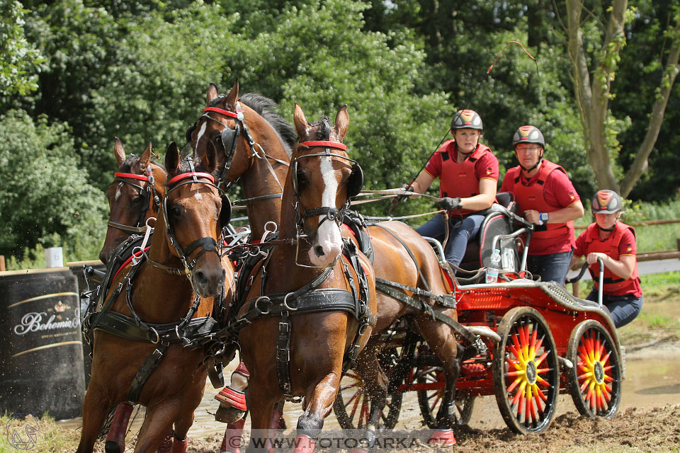 CAIO - Nebanice 2016
