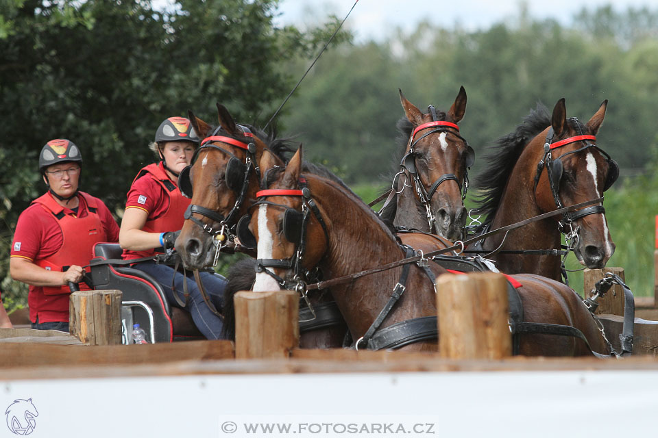 CAIO - Nebanice 2016