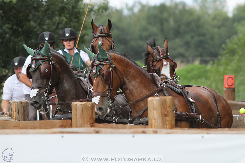 CAIO - Nebanice 2016
