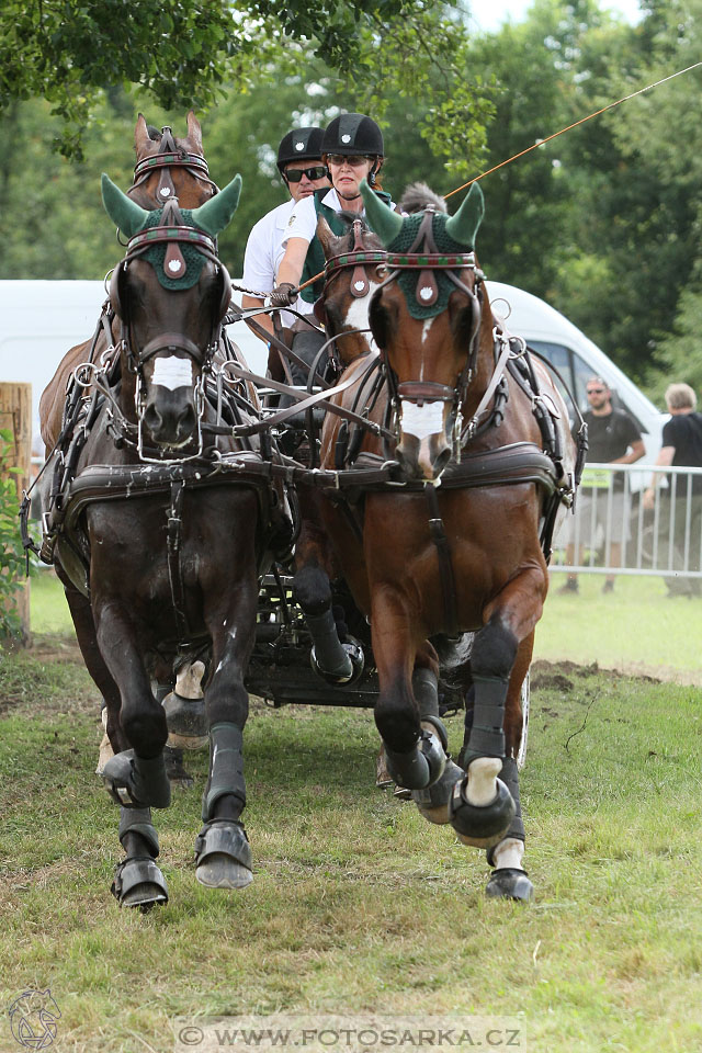 CAIO - Nebanice 2016
