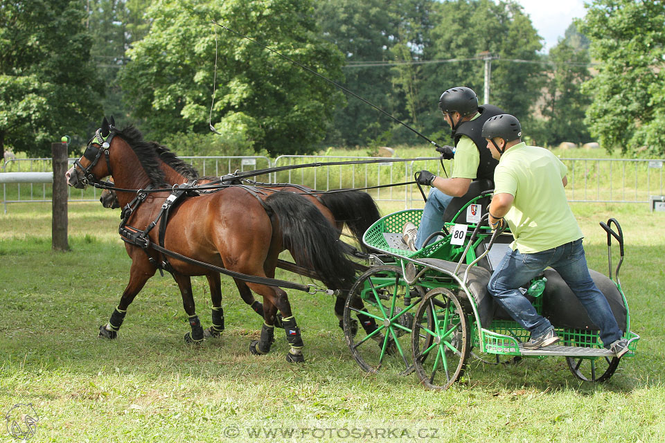 CAIO - Nebanice 2016