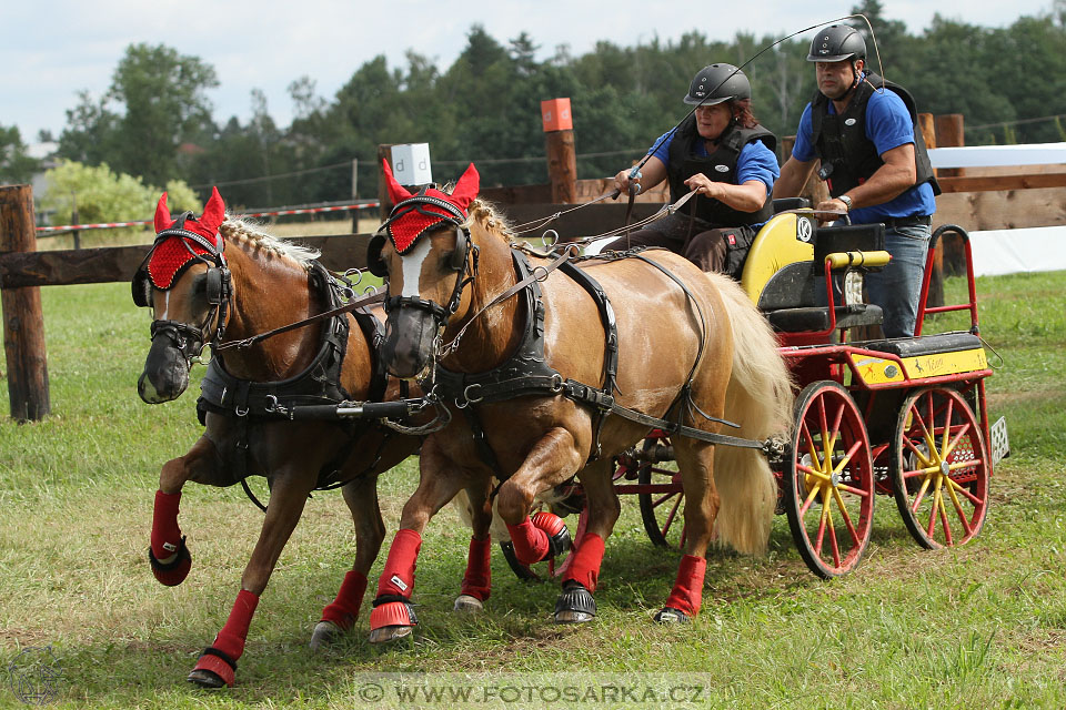 CAIO - Nebanice 2016